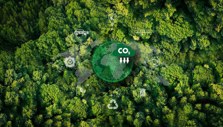 carbon trading